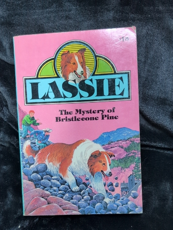 Other - Lassie Book Vintage